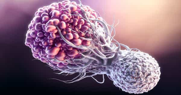 Anti-cancer Immunity is Predicted using Artificial Intelligence