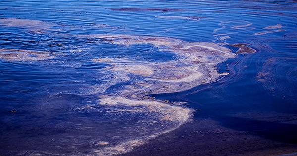 California Beaches Close As Worst Oil Spill in Decades Threatens Wildlife