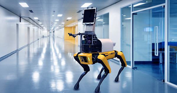 Look Inside Chernobyl As Robot-Dog Learns To Sniff Out Radioactivity
