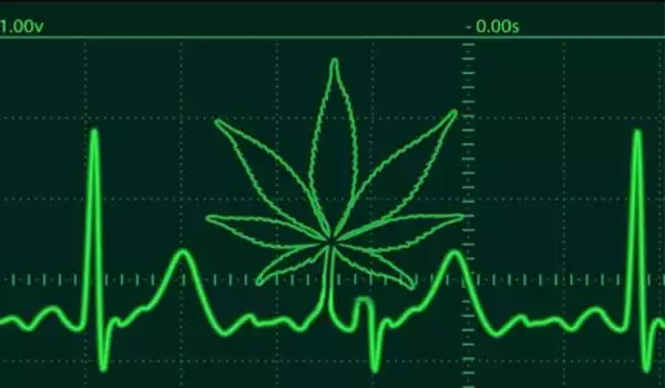 Marijuana-Alters-Heart-Structure-According-to-New-Research-1