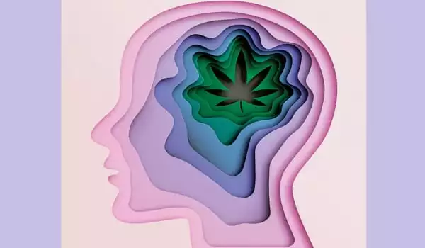 Marijuana-is-being-linked-to-an-Increasing-Number-of-Schizophrenia-Cases-1