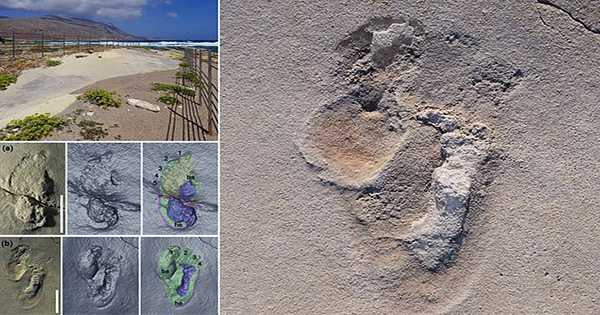 Oldest Known Hominin Footprints Found On Crete Date Back 6 Million Years