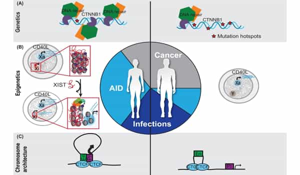 Our-Genome-and-Epigenome-will-aid-in-Cancer-Prevention-Detection-and-Treatment-1