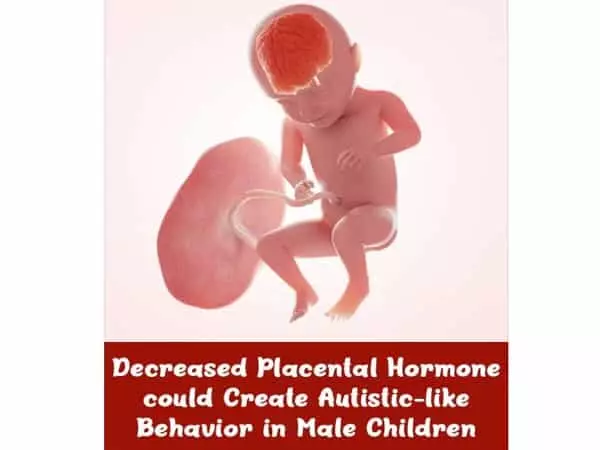 Placental-Hormone-Deficiency-has-linked-to-changes-in-the-Brain-and-Behavior-1