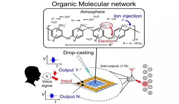 Random-Polymer-Networks-are-eliciting-Intelligence-1