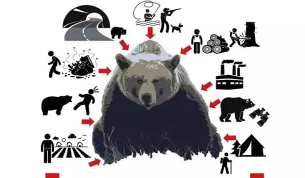 The-Most-Effective-Approach-to-Reducing-Human-bear-Conflict-1