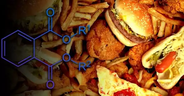 Fast-Food-Contains-Hormone-Disrupting-Chemicals-1