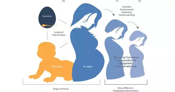 Mothers’ Stress can have an Impact on the Biology of Future Generations