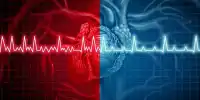 Researchers Demonstrate how AI can Detect Unseen Signs of Heart Failure