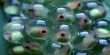 Tadpoles Survive Without Breathing After Scientists Fill Their Brains with Algae