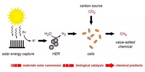 Carbon-Dioxide-Produces-Methane-1