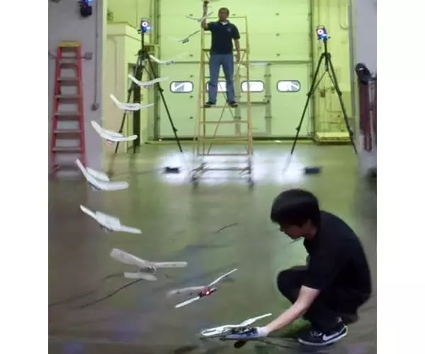 Engineers-Create-a-Robot-that-Perches-like-a-Bird-1