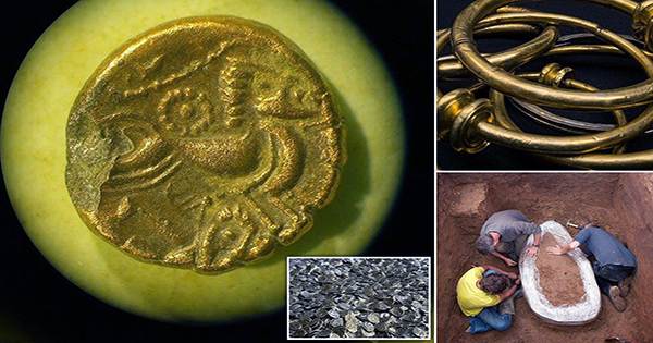 Record-Haul-of-Anglo-Saxon-Gold-Coins-Found-By-Treasure-Hunter-1