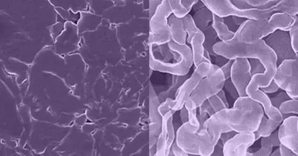 A Sodium-based Material Provides a Stable Lithium-ion Battery Alternative
