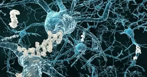 Alzheimer’s Disease Risk Genes alter the Neuroprotective Mechanism