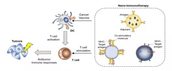 Cancer-Immunotherapy-is-Improved-by-Using-Nanoparticles-1