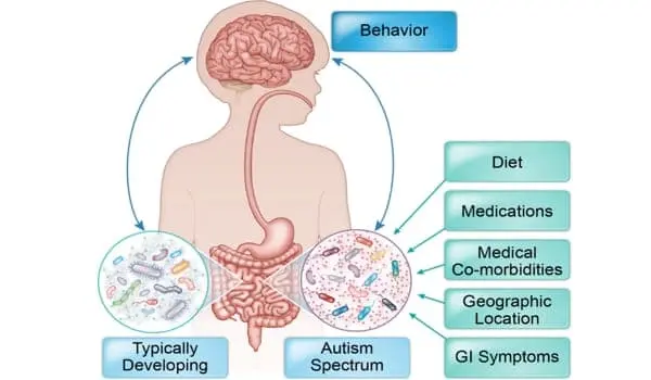 Gut-Bacteria-have-been-linked-to-improved-Cognition-and-Language-Skills-in-Infant-Boys-1