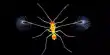 Insect Nervous Systems Inspire Future AI Systems to be more efficient