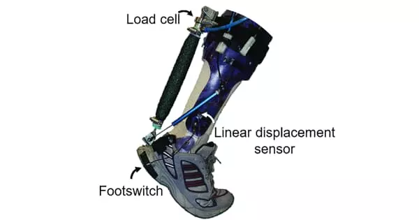 Scientists Connect a Powered Exoskeleton to a Neural Interface