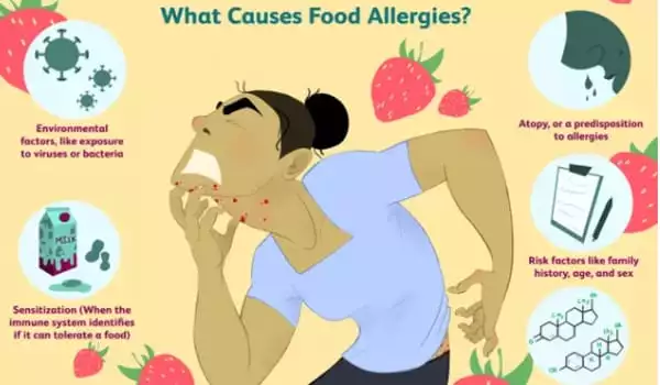 The-Path-from-Food-Pollutants-to-an-Increased-Allergic-Response-1