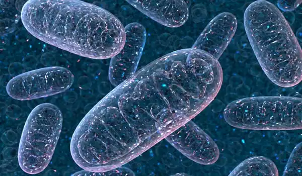 A-Mouse-Study-Suggests-Gene-Editing-could-be-used-to-Treat-Mitochondrial-Illnesses-1