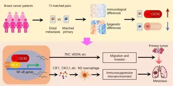 A-New-Treatment-Option-for-advanced-Triple-negative-Breast-Cancer-has-emerged-1