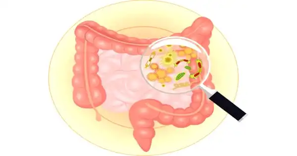 A Protein Important for Wound Healing in Gut Diseases has been Discovered