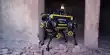 ANYmal’s Quadrupedal Robot Takes a Hike