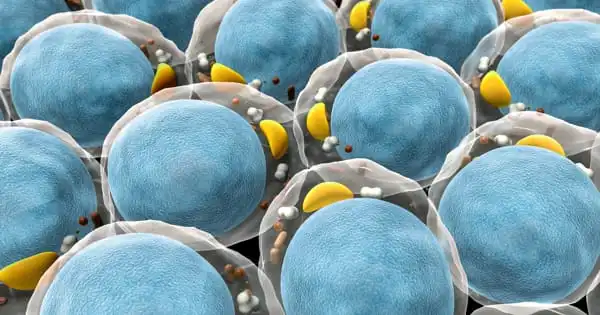 Diabetes is Relieved by Removing Defective Cells