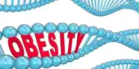 Obese People with Lucky Genes may be Protected from Certain Diseases