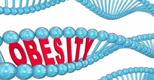 Obese People with Lucky Genes may be Protected from Certain Diseases