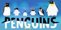 Penguin Films Itself Living Its Best Penguin Life in Amazing Video