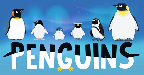 Penguin Films Itself Living Its Best Penguin Life in Amazing Video