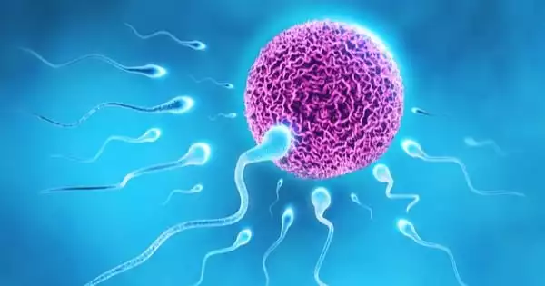 Tracing Sperm in Natural Gel of Sperm could lead to new Contraceptive Methods