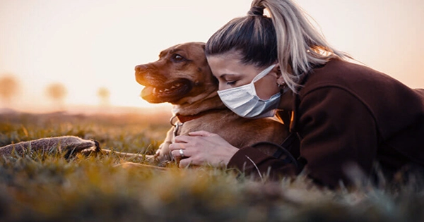 A Coronavirus May Be Behind Outbreak of Mysterious Illness in UK Dogs
