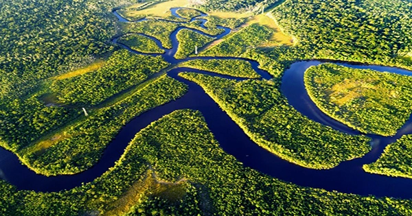 Deforestation in Brazilian Amazon Rainforest Hits Record January High
