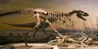 Dinosaurs Got Colds Too, Suggests One-Of-A-Kind Fossil Find