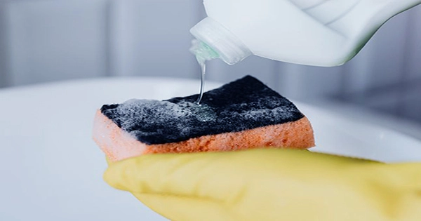 Household Sponges Grow Bacteria Better Than Petri Dishes