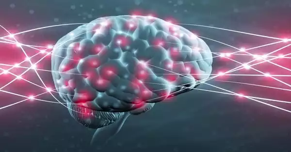 Memory Pattern is Determined by how Brain Networks Develop in Childhood