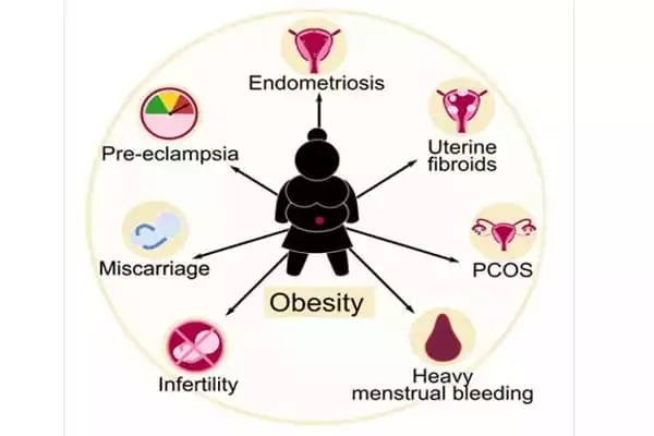 Obesity-may-raise-the-Risk-of-Certain-Female-Reproductive-Problems-1
