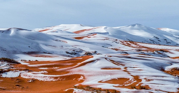 Snowfall in the Sahara Desert an Unusual Weather Phenomenon