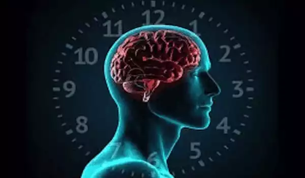 The-Circadian-Cycle-Regulates-the-Clearance-of-Protein-related-to-Alzheimers-1