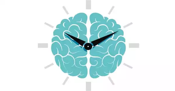 The Circadian Cycle Regulates the Clearance of Protein related to Alzheimer’s