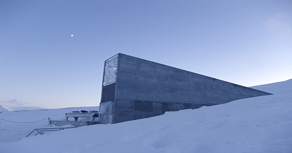 The Doomsday Vault Is Opening Its Doors for Some VIP Seeds