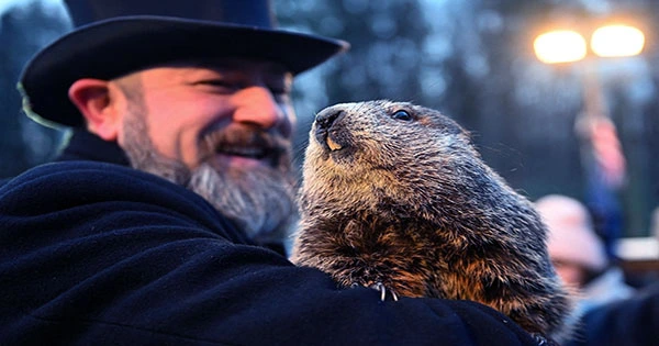 Weather-Predicting Groundhog Dies Right before Groundhog Day