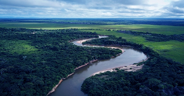 Most of the Amazon Rainforest Is Nearing Catastrophic Collapse