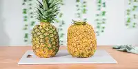 You Can Buy a GMO Pink Pineapple That Looks like It’s Made of People