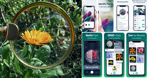 Keep Your Plants Healthy, Happy & Growing With 66 Percent Off This Plant ID App!