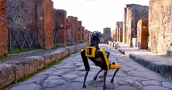 Spot the Robot Dog Has a New Job: Protecting Pompeii