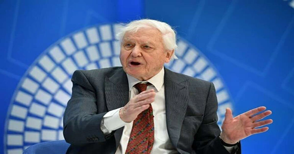 David Attenborough Has Been Named Champion of the Earth by UN